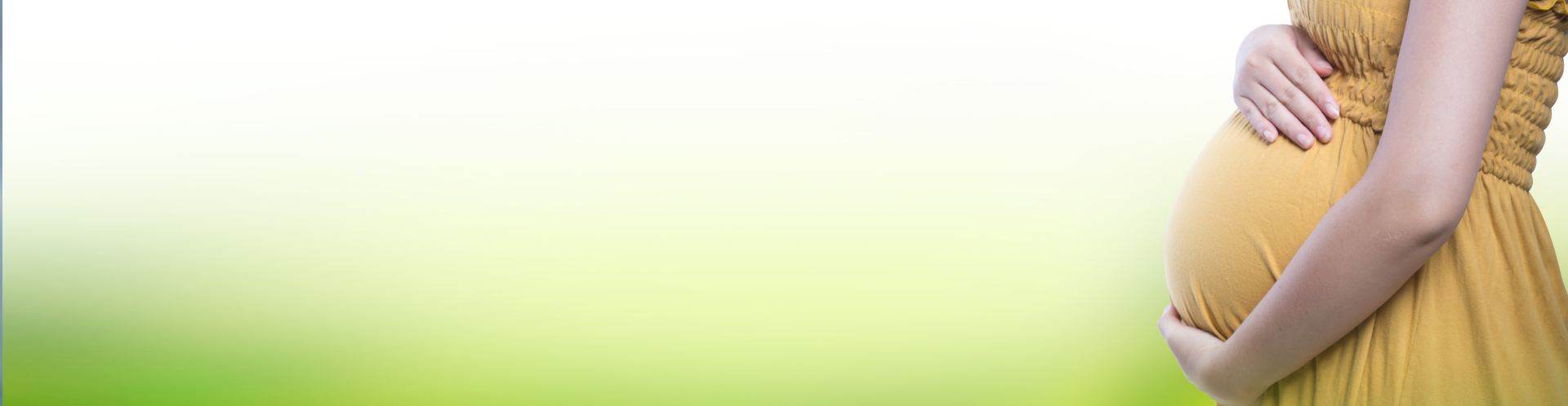 Information about Shreepraja