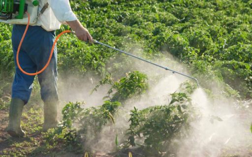 Effects of Pesticide Residue on Women’s Health
